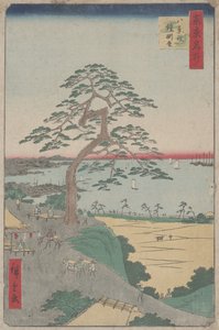 「八景坂の甲冑吊り松」江戸百景より