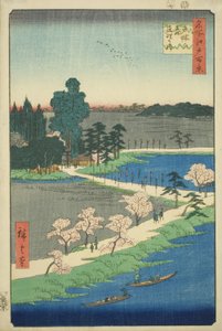 名所江戸百景 吾妻神社 絡み楠（あずまのもりれんりのあずさ）