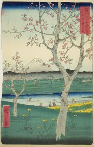 The Outskirts of Koshigaya in Musashi Province (Musashi Koshigaya zai), from the series "Thirty-six Views of Mount Fuji (Fuji sanjurokkei)"   1288984   ja       japanese Successfully Translated  Original: Major-General Hector A. Macdonald, C.B., 1900. Tran 作： Utagawa Hiroshige