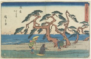 浜松の松畑、1841〜1842年
