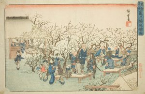 「東都名所」より 亀戸梅屋敷の図 公明堂の梅園