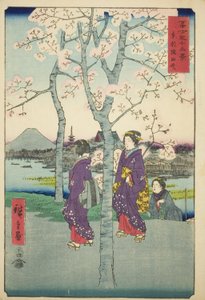 「富嶽三十六景」より 東都隅田堤