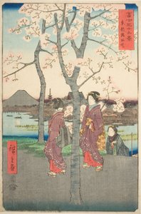 『富嶽三十六景』より 東都隅田堤