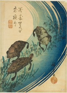小川を泳ぐ亀 作： Utagawa Hiroshige