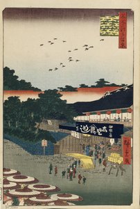 上野山下江戸百景、1856-1858