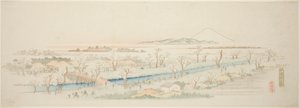 無題 江戸下町名勝 小金井の景 作： Utagawa Hiroshige