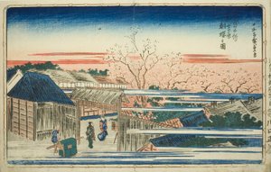 連載「東都名所図」より 新吉原朝桜の図 作： Utagawa Hiroshige