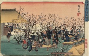 亀戸の梅園、1832-1834年