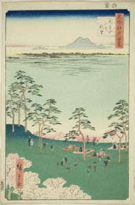 ヴィエｗ と テェ のｒｔｈ ｆろｍ アスカ 引っｌ （飛鳥山 着た の ちょぼ）、 ｆろｍ テェ セリエｓ ”尾根 分ｄレｄ ファもうｓ ヴィエｗｓ おｆ 江戸 （名所 江戸 百景）” 作： Utagawa Hiroshige