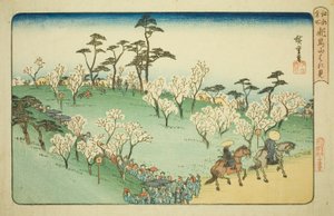 連載「江戸名所」より 飛鳥坂の桜見物（飛鳥山花見） 作： Utagawa Hiroshige
