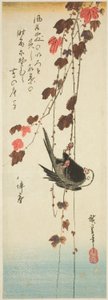 頭の白い鳥とツタ 作： Utagawa Hiroshige