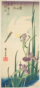 白鷺と菖蒲 作： Utagawa Hiroshige