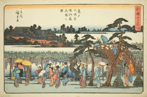 Wisteria in Full Bloom in the Precincts of the Kameido Tenmangu Shrine (Kameido Tenmangu keidai fuji hanazakari no zu), from the series "Newly Selected Famous Places in Edo (Shinsen Edo meisho)"