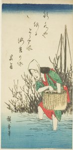 海苔を採る女性 作： Utagawa Hiroshige