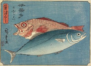 ブリとロックフィッシュ、1830-1844
