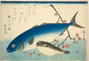 ぶり・ふぐ・梅枝 作： Utagawa Hiroshige