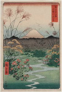 カイ州の大月平野（Kaiōtsukino hara）、富士山の36のビューのシリーズから 作： Utagawa Hiroshige