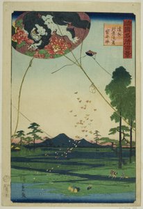 Kites of Fukuroi and Distant View of Akiba in Totomi Province (Enshu Akiba enkei Fukuroi tako), from the series "One Hundred Famous Views in the Various Provinces (Shokoku meisho hyakkei)" 作： Utagawa Hiroshige II