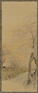 風景：小川のほとりに咲く桜の木、江戸時代、1615-1868.