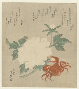 カニ入り牡丹