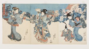 愛宕山の桜並木（カラー木版画 作： Utagawa Kunisada