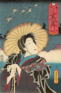 太田屋太吉著『ワイルドギース 作： Utagawa Kunisada