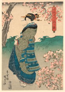 隅田川の花見の女 作： Utagawa Kunisada