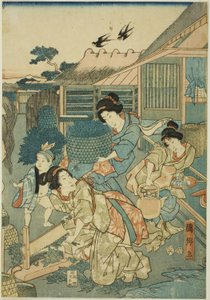 シルクファームの大繁盛（カイコヤダイハンジョノズウ） 作： Utagawa Kunisato
