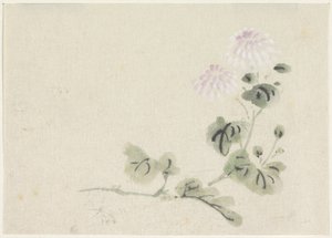 紫白菊 作： Utagawa Kuniyoshi