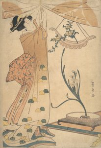 カーテンを締める女、船形のハに菊のフラワーアレンジメント、約. 1805年。 作： Utagawa Toyohiro