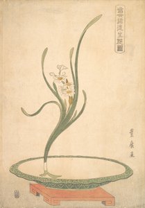 緑の平皿に水仙水仙の生け花。