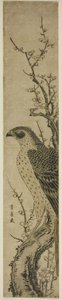  作： Utagawa Toyohiro