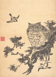 フクロウと 2 つのツバメ。 作： Utagawa Toyohiro