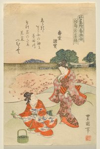 春の江戸名所シリーズ 向島の薬草採集 作： Utagawa Toyokuni II