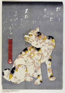 不明な画像