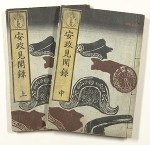 安政時代の報告 安政見聞録 作： Utagawa Yoshiharu