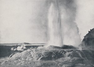 間欠泉、ニュージーランド、1924 作： Valentine and Sons Ltd