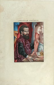 アンドレアス・ヴェサリウス（1514-64）による人体ファブリカからのアンドレアス・ヴェサリウスの肖像、バーゼルのジョン・オポリン、1543年6月発行（カラー木版画） 作： Venetian School