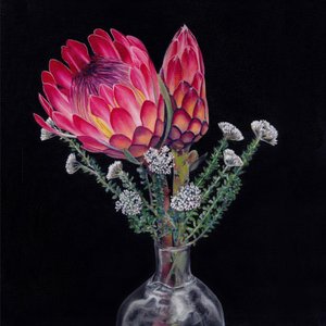 キングプロテアの花束