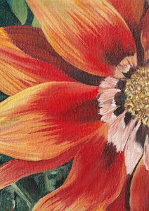鮮やかなオレンジ色の花 作： Viccy Wanliss