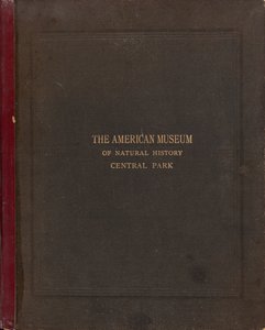 アメリカ自然史博物館、セントラル パーク、ニューヨーク市の写真アルバム 作： Victor Prevost, Gaston L. Feuardent and Co., New York