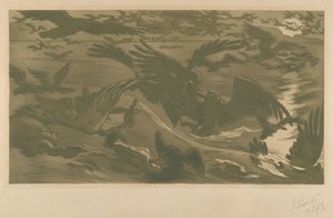 猛禽類 猛禽類、1893 年。