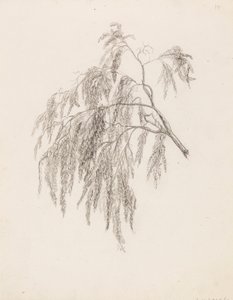 支店 作： Victoria Åberg
