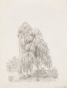 広葉樹 作： Victoria Åberg