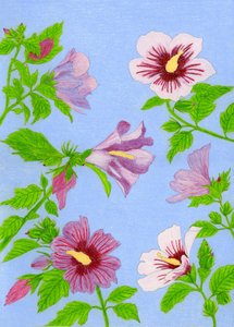 咲き誇るハイビスカスの花