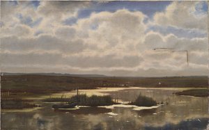 湿原のあるヒース 作： Vilhelm Groth