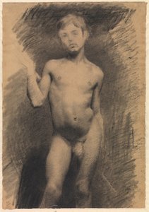 立っている裸の少年。 モデル研究
