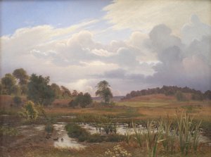 フォレスト ノース フォレスト、Jægerspris、ジーランドの近くの風景 作： Vilhelm Kyhn