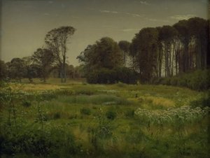 夏の風景。 Horneland 近く Fåborg