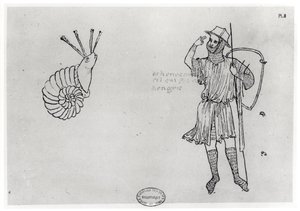 Fol.2カタツムリとハンガリーの兵士（ファクシミリのコピー） 作： Villard de Honnecourt